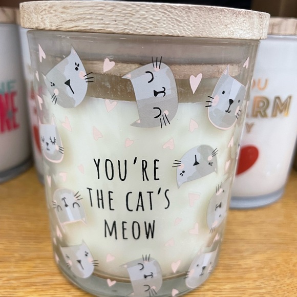 Love Scent Candles Rainbow Pride Cat Lover & More - Picture 5 of 11